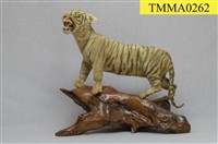 藏品(孟加拉虎)的圖片